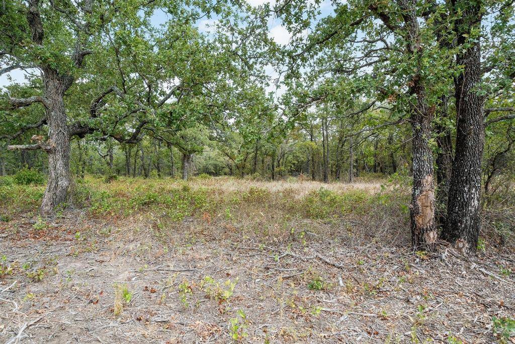 Perrin, TX 76486,Lot 3 wilson road Road S
