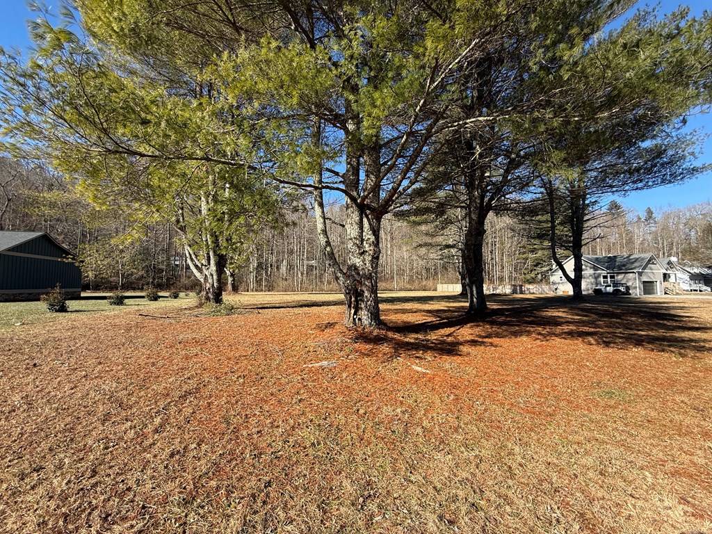 Hiawassee, GA 30546,Lot 77 Big Pine Drive