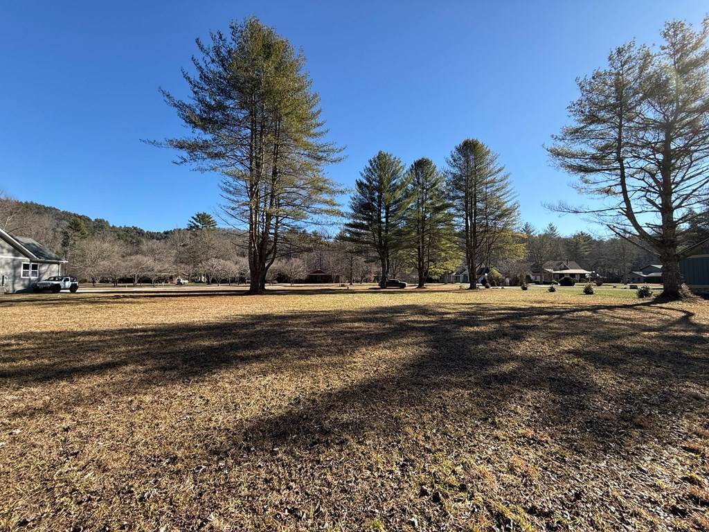 Hiawassee, GA 30546,Lot 77 Big Pine Drive