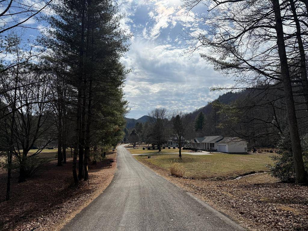 Hiawassee, GA 30546,Lot 77 Big Pine Drive