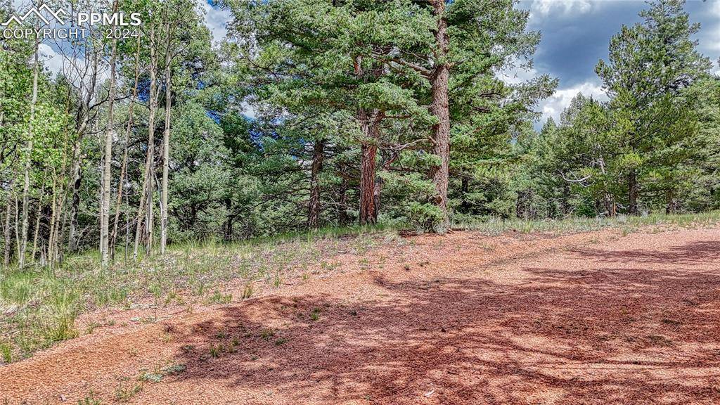 Cripple Creek, CO 80813,94 E Mariposa CIR