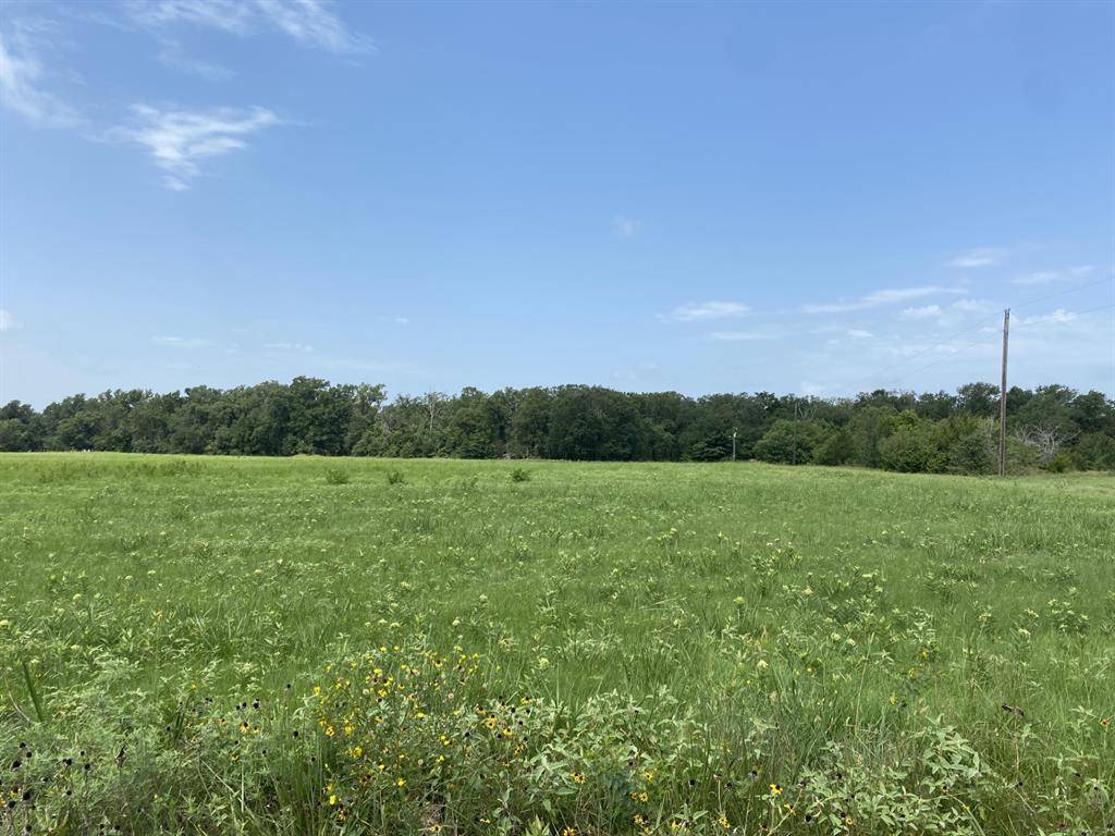 Dike, TX 75437,Tract 1 000 CR 3631