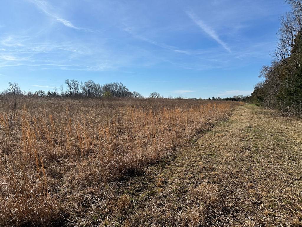 Buffalo Junction, VA 24529,3.7 Acs Sandy Fork Road