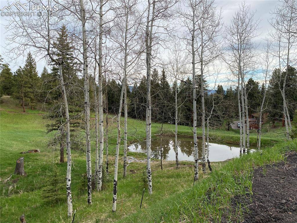 Evergreen, CO 80439,27921 Alabraska LN