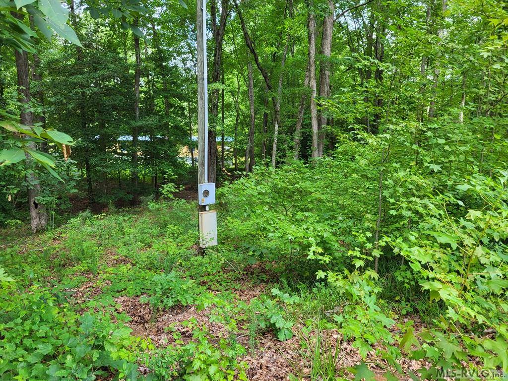 Macon, NC 27563,118 Gaston Oaks Lane