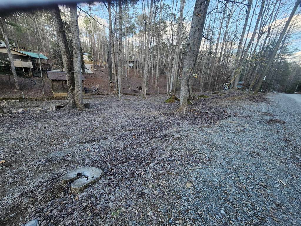 Ellijay, GA 30540,Lt C-390 17th Street