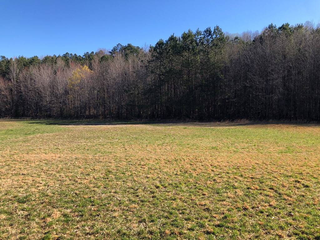 South Hill, VA 23970,15.6 Acs Chaptico Road