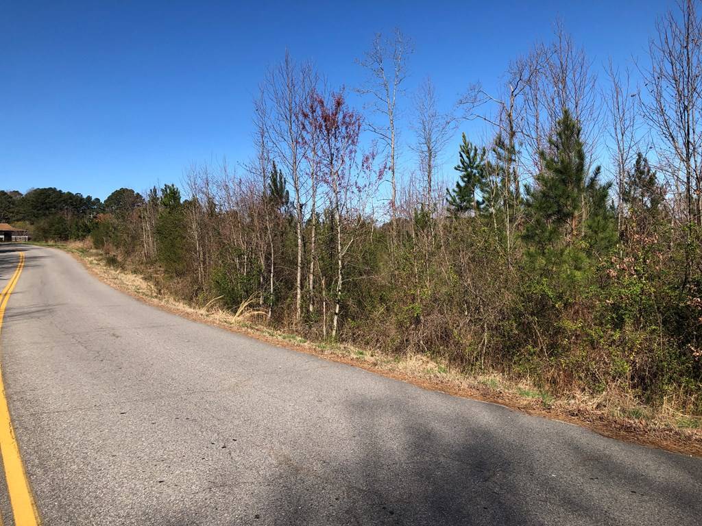 South Hill, VA 23970,21.4 Acs Chaptico Road