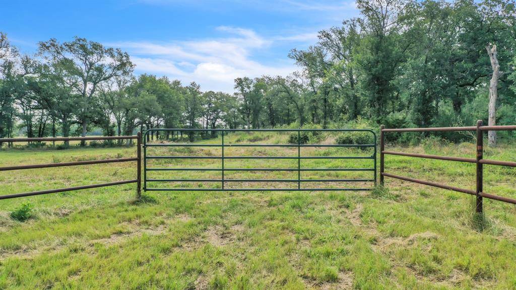 Santo, TX 76472,1005 Carter Lane