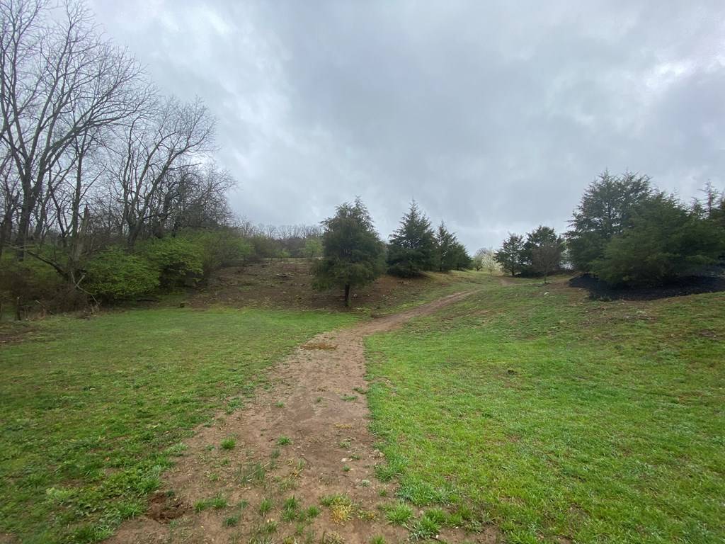 Bristol, VA 24202,0 Reedy Creek
