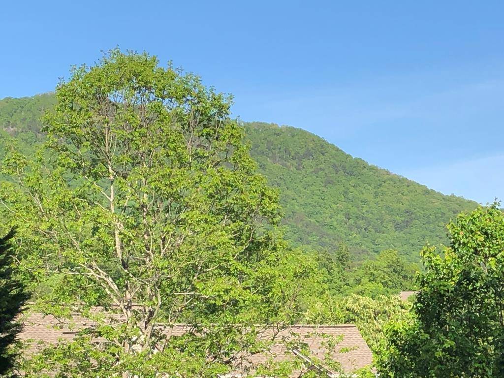 Young Harris, GA 30582,Lot 10 Asheland Cove