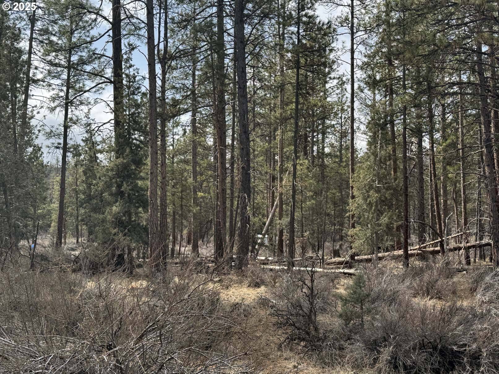 Bonanza, OR 97623,Bufflehead DR #TL 10