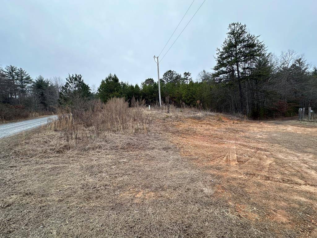 Mineral Bluff, GA 30559,1.74 AC Walnut Hills Drive