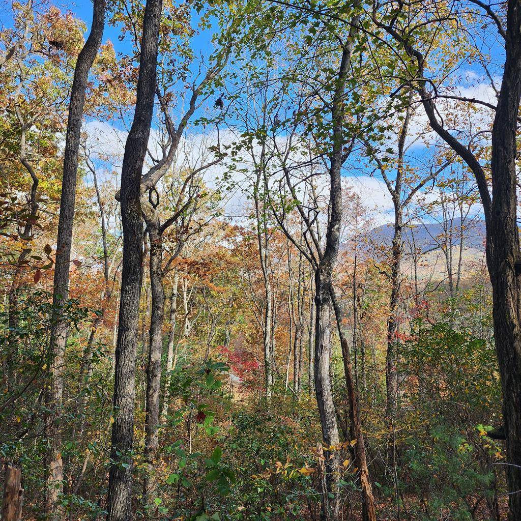 Hiawassee, GA 30546,Lot 10 Enchantment Way