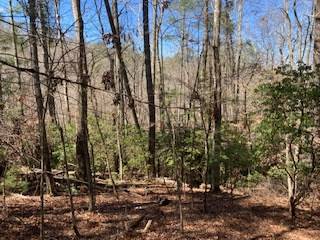 Ellijay, GA 30540,Lt 1032 Eagle Court