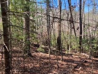 Ellijay, GA 30540,Lt 1032 Eagle Court