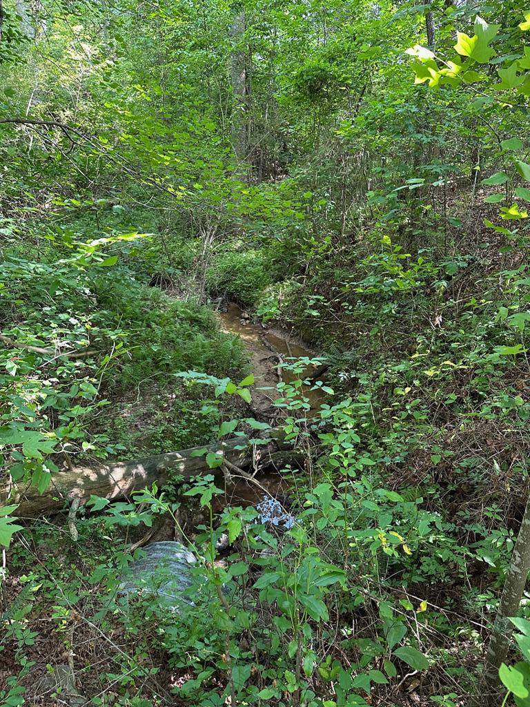 Morganton, GA 30560,Lot 30 Fairview Drive