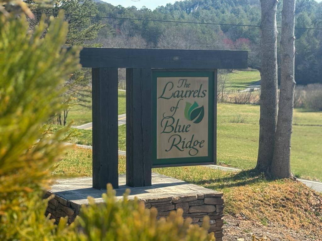 Mineral Bluff, GA 30559,Lot 55 Mountain Laurel Ridge