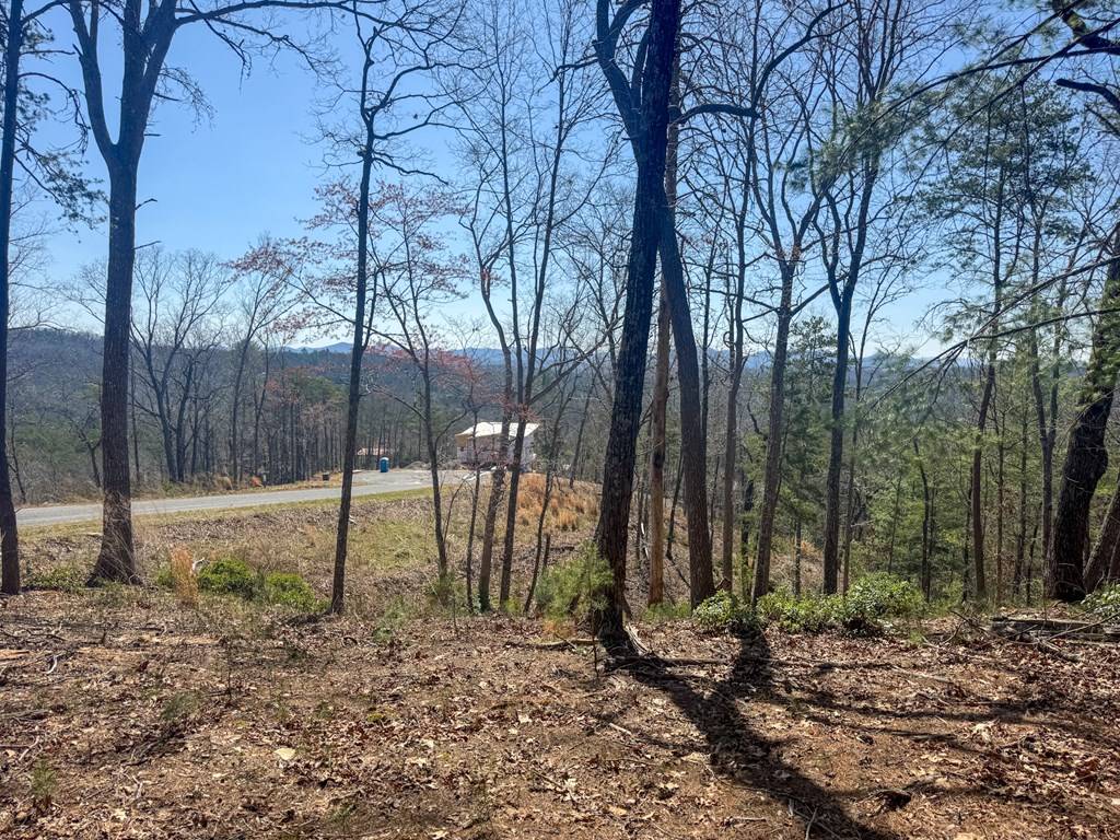 Mineral Bluff, GA 30559,Lot 55 Mountain Laurel Ridge