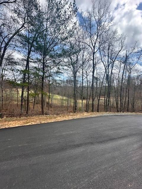 Mineral Bluff, GA 30559,Lot 195 Trails End Way