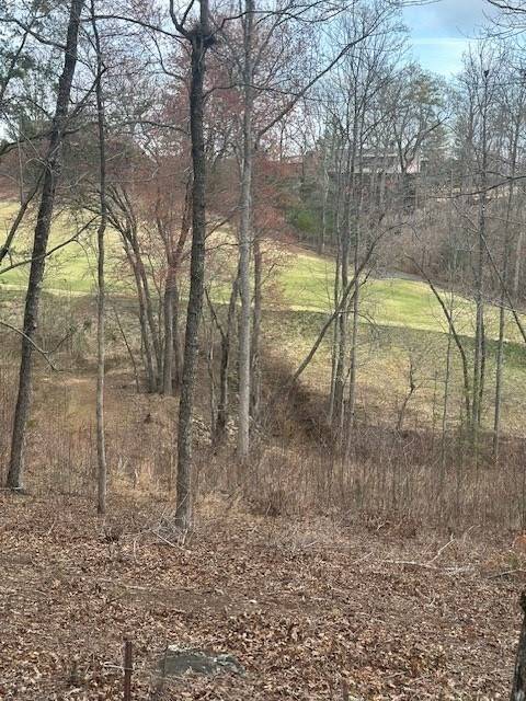 Mineral Bluff, GA 30559,Lot 195 Trails End Way