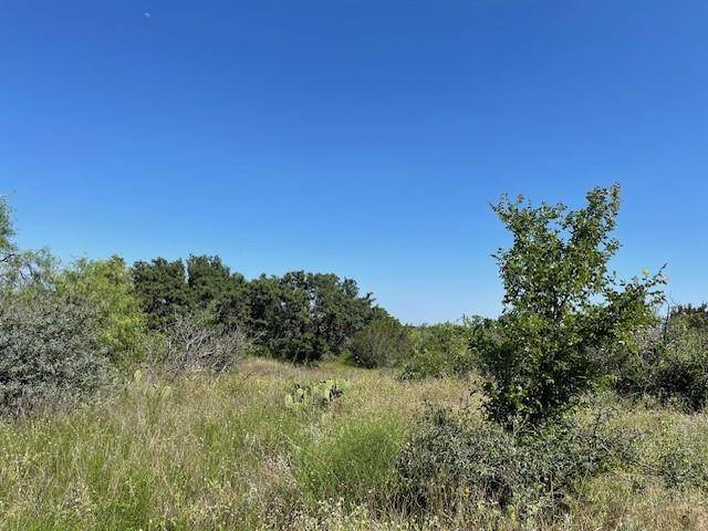 Brownwood, TX 76801,165 Indian Mountain Trail