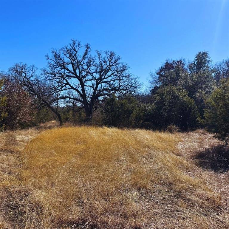 Stephenville, TX 76401,TBD Mesa Vista Drive