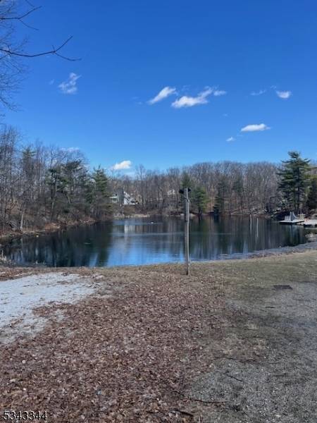 Sparta Twp., NJ 07871,203 Alpine Trl