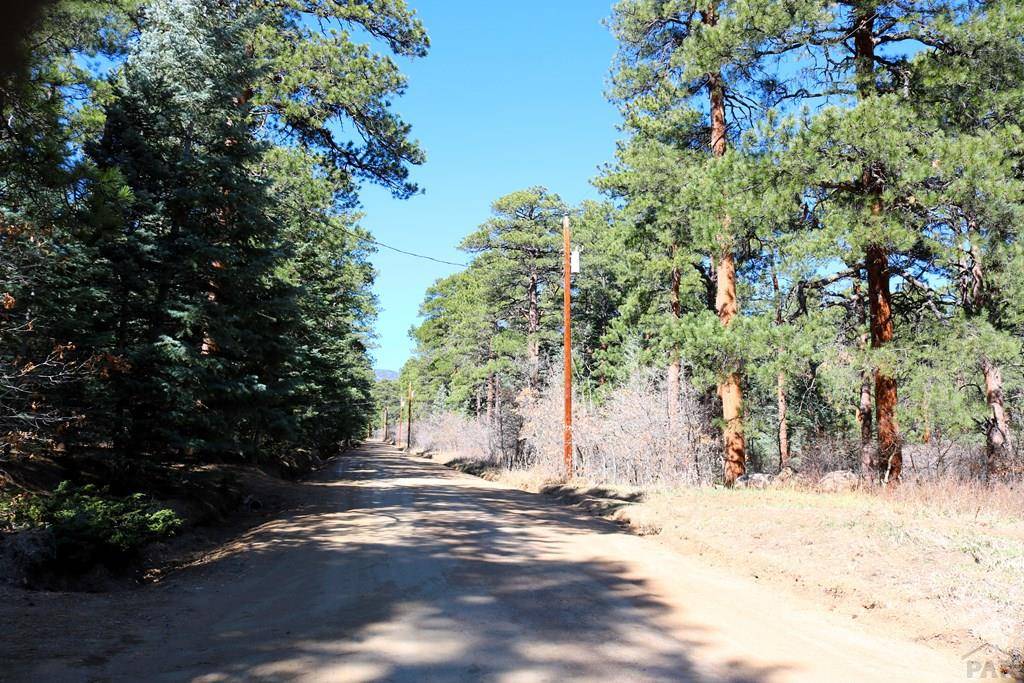Rye, CO 81069,8378 Mariposa Ave