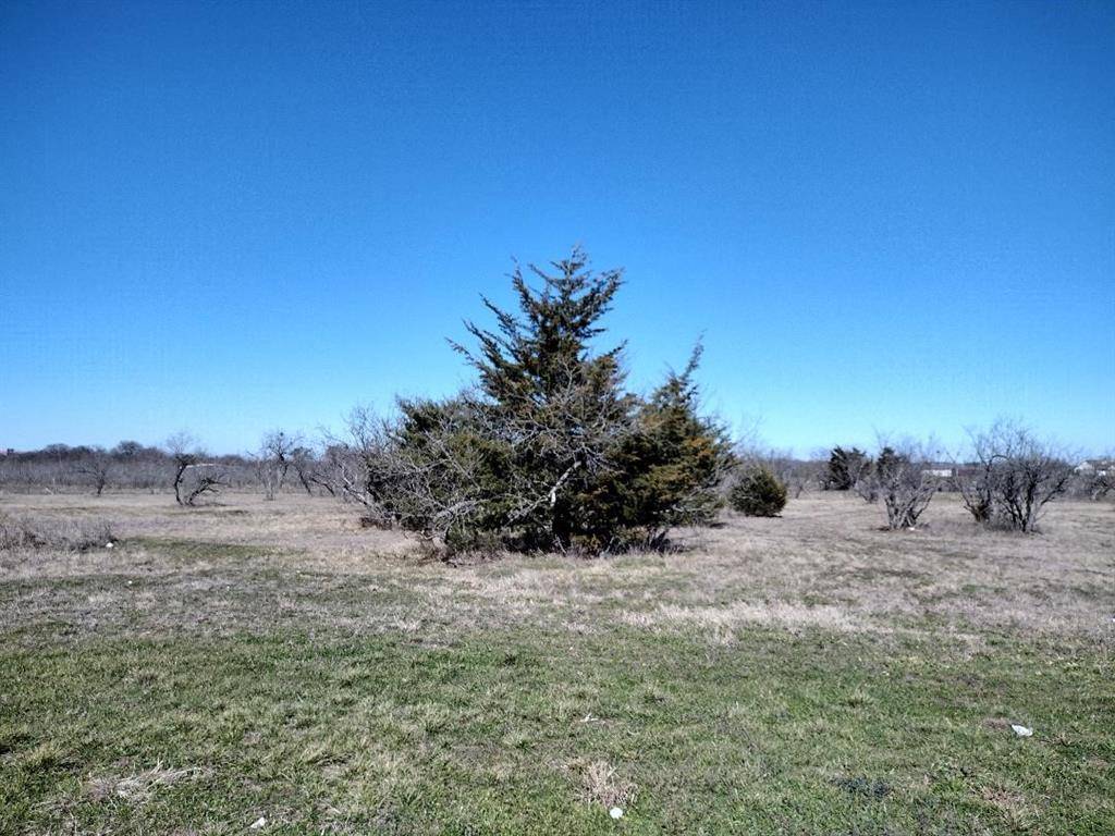 Royse City, TX 75189,6205 Turkey Oak