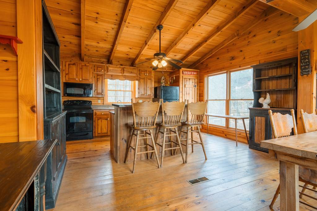 Mineral Bluff, GA 30559,1164 Dividing Ridge Road