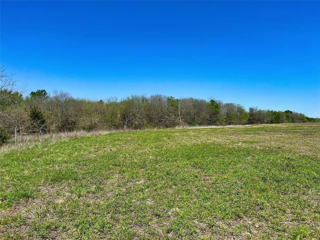 Honey Grove, TX 75446,TBD County Road 3555