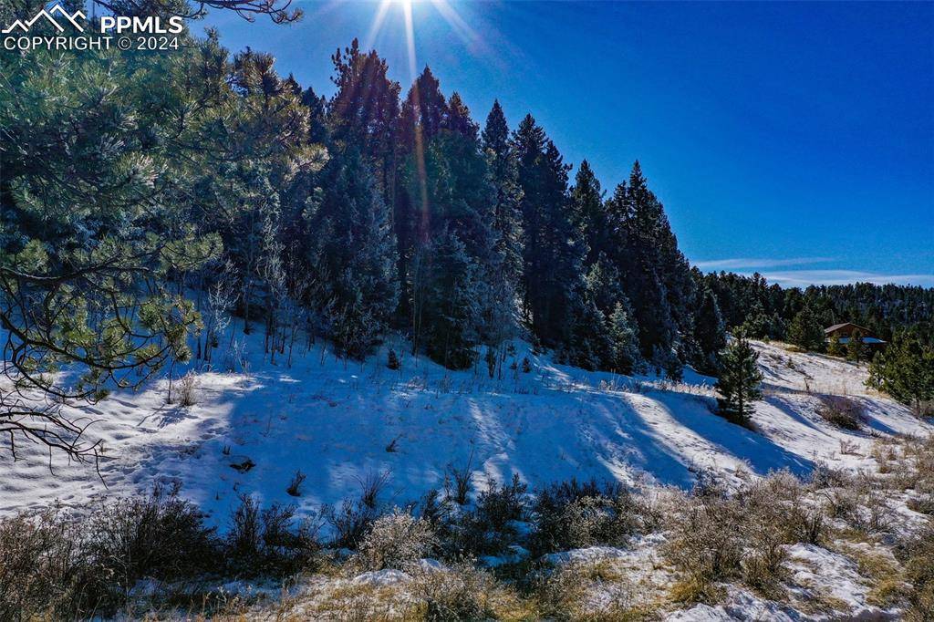 Cripple Creek, CO 80816,278 Penrose CIR