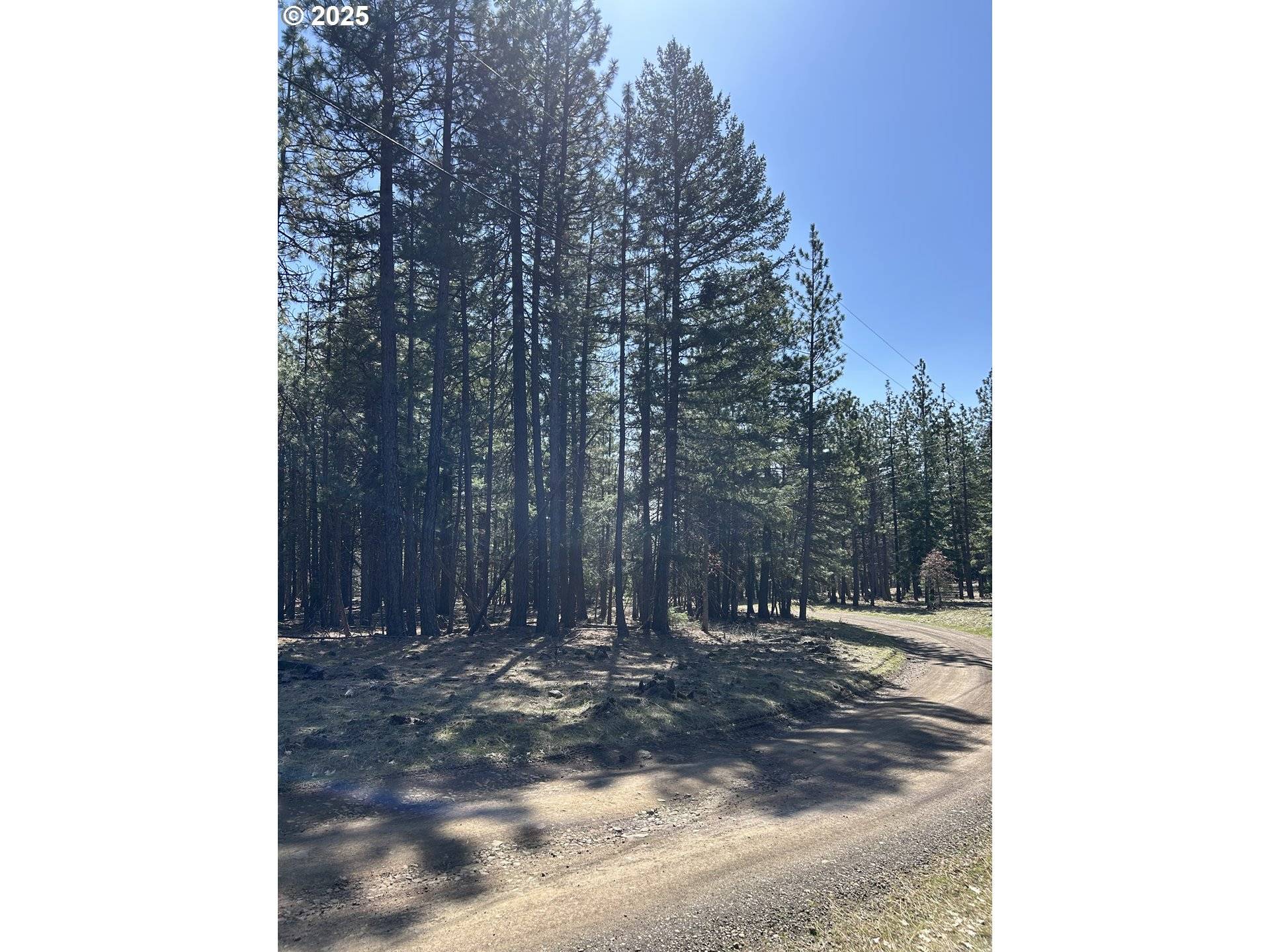 Goldendale, WA 98620,Lot 4 Thompson Trail