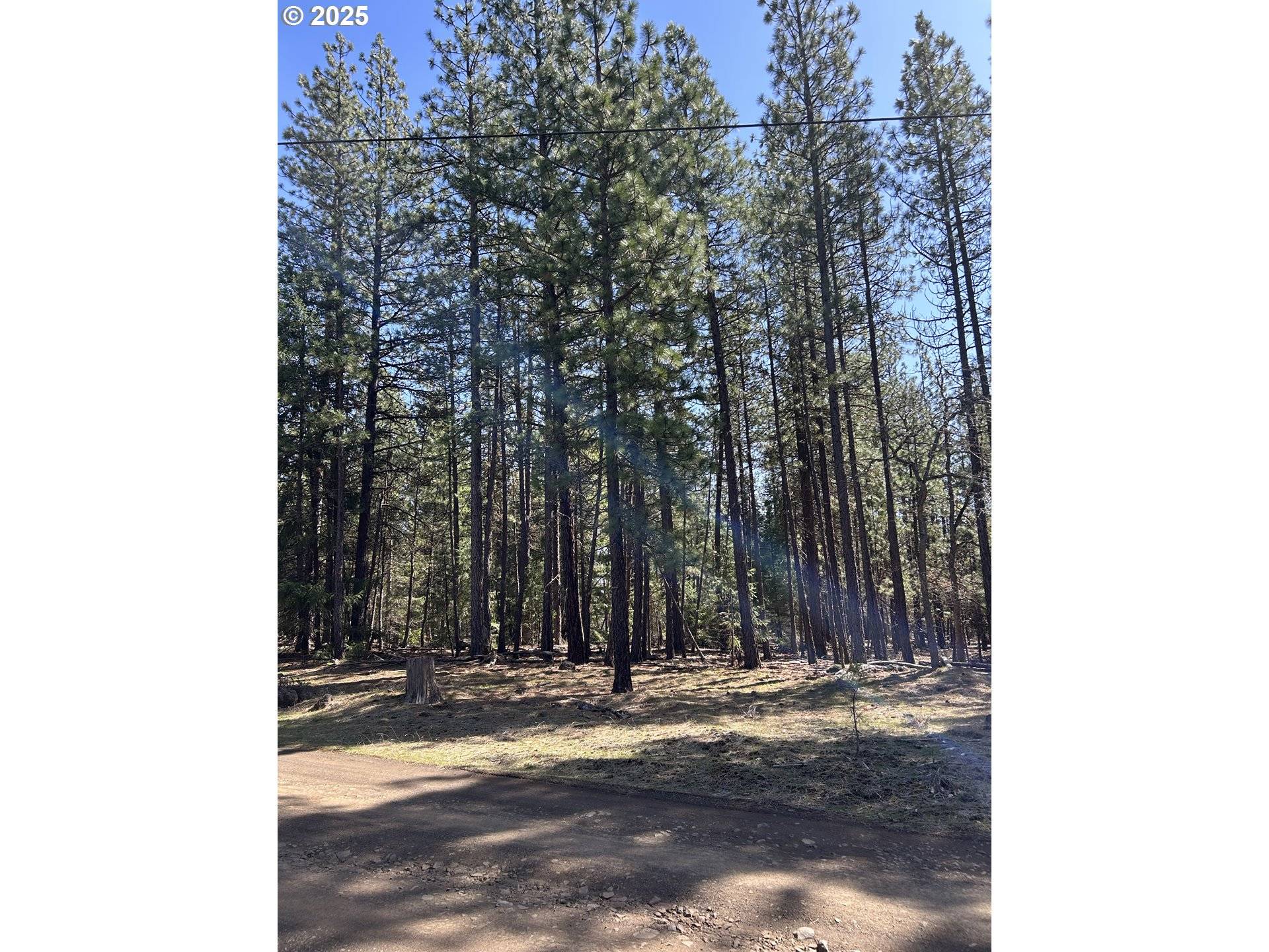 Goldendale, WA 98620,Lot 4 Thompson Trail