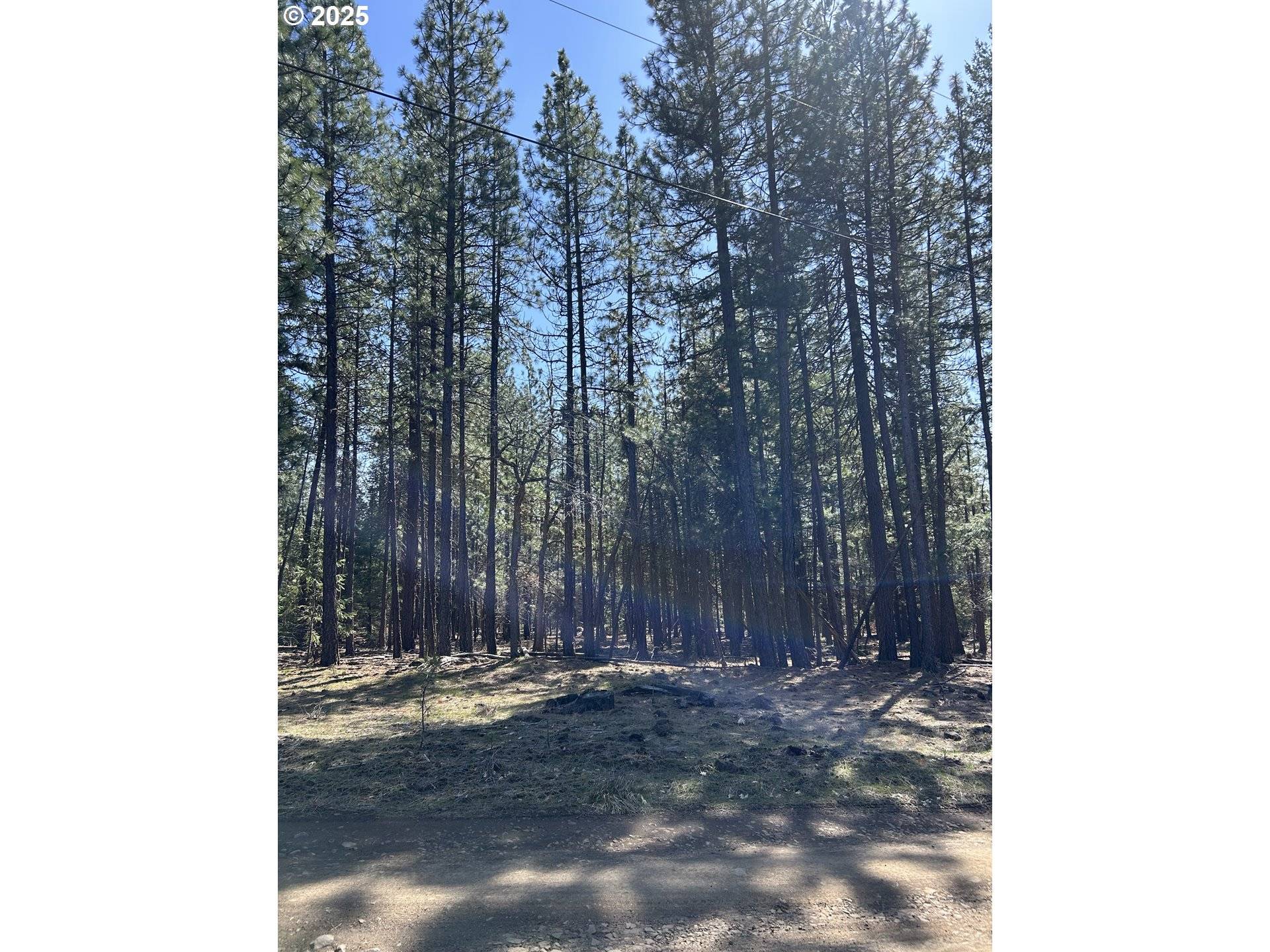 Goldendale, WA 98620,Lot 4 Thompson Trail