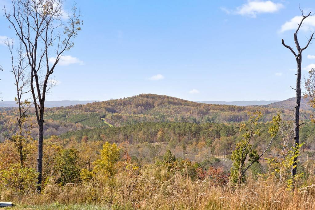 Talking Rock, GA 30175,Lot 237 Highgrove Drive