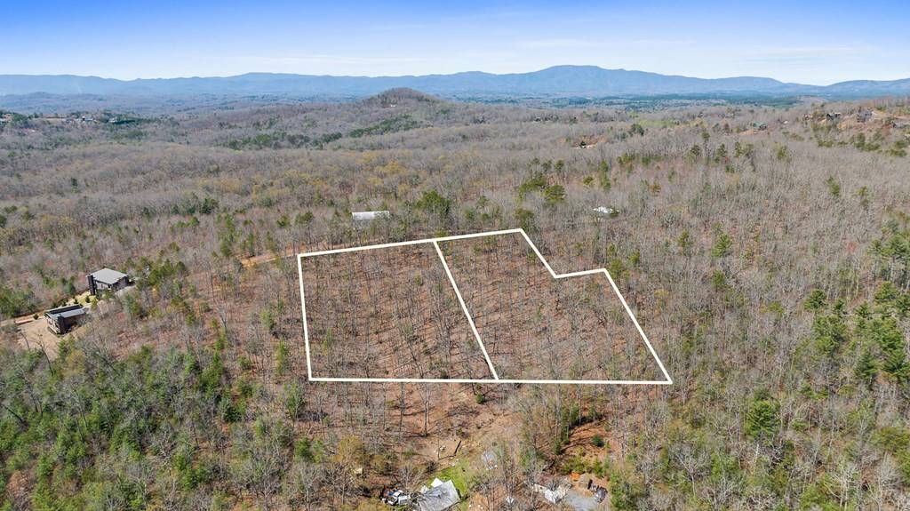 Mineral Bluff, GA 30559,40A Synacia Road