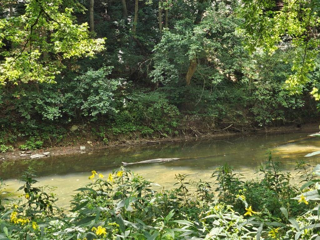 Max Meadows, VA 24360,TBD E Lee Hwy
