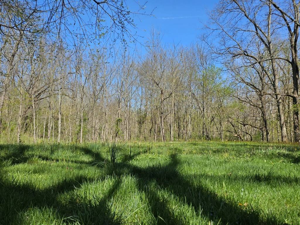 Max Meadows, VA 24360,TBD E Lee Hwy