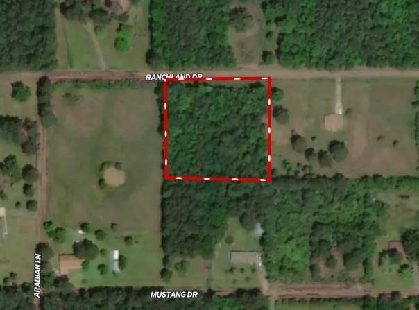 Grand Cane, LA 71032,TBD Ranchland Drive