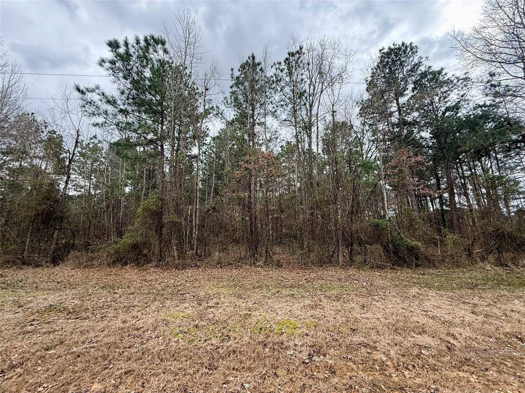 Grand Cane, LA 71032,TBD Ranchland Drive