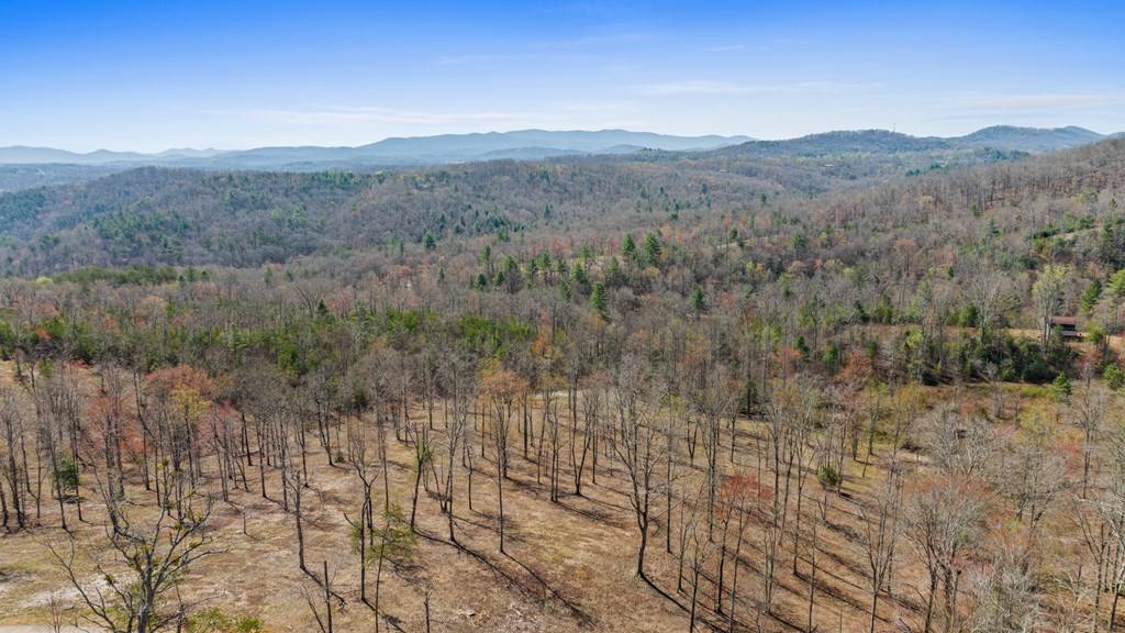 Blue Ridge, GA 30513,Lot 11 Haven Way