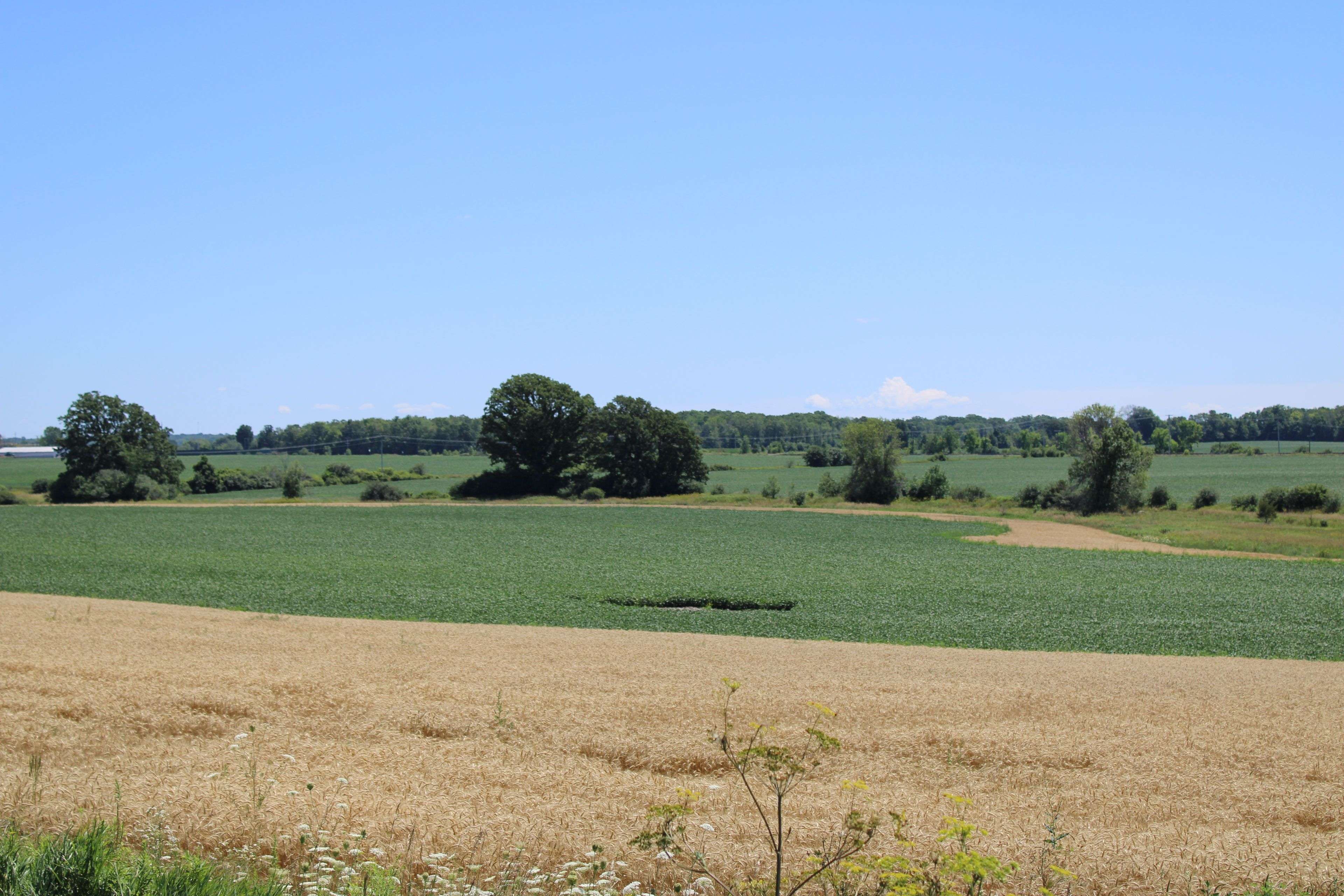 Greater Napanee, ON K7R 3L1,LT15-16 COUNTY ROAD 1 N/A W