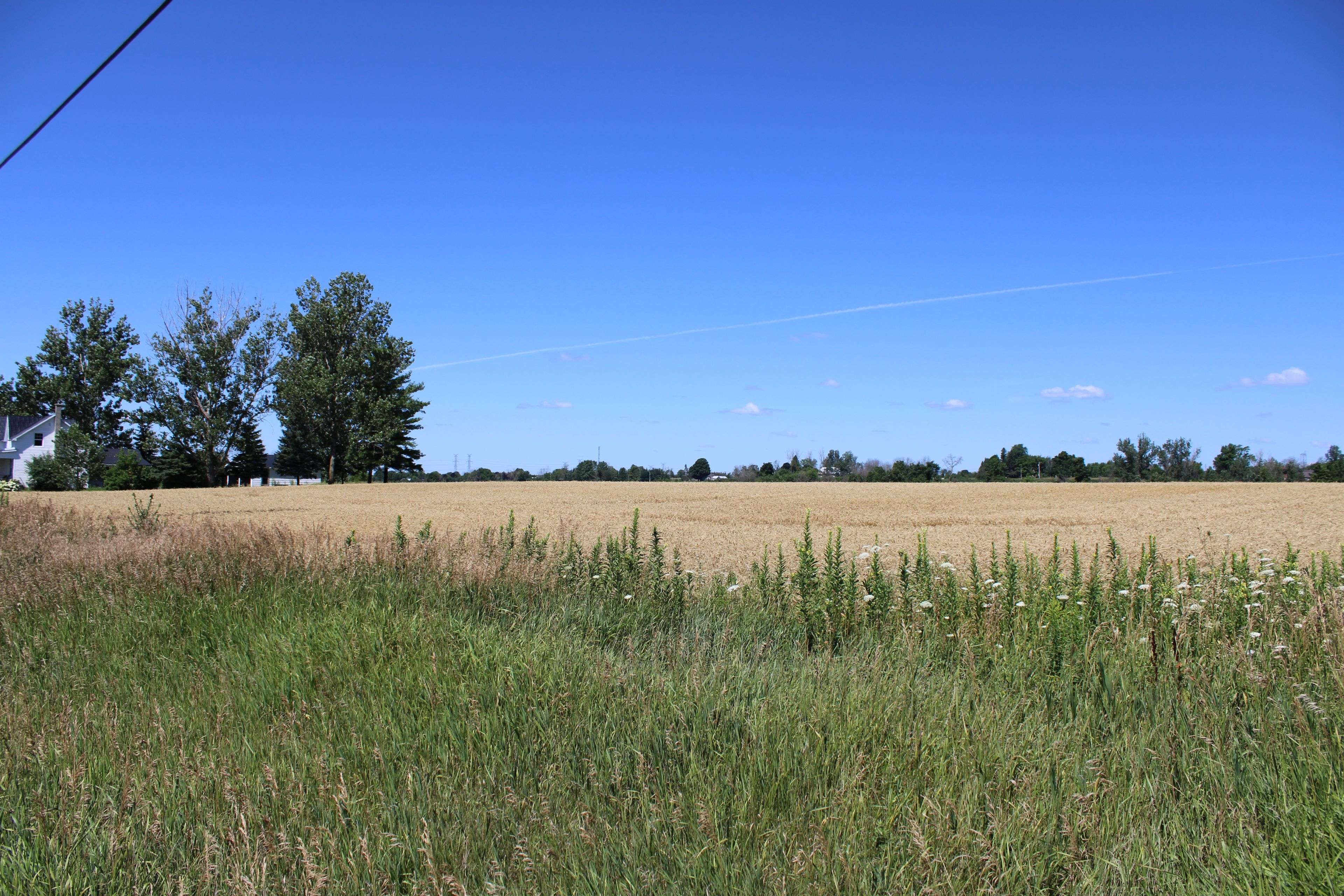 Greater Napanee, ON K7R 3L1,PT LT16 JIM KIMMETT BLVD