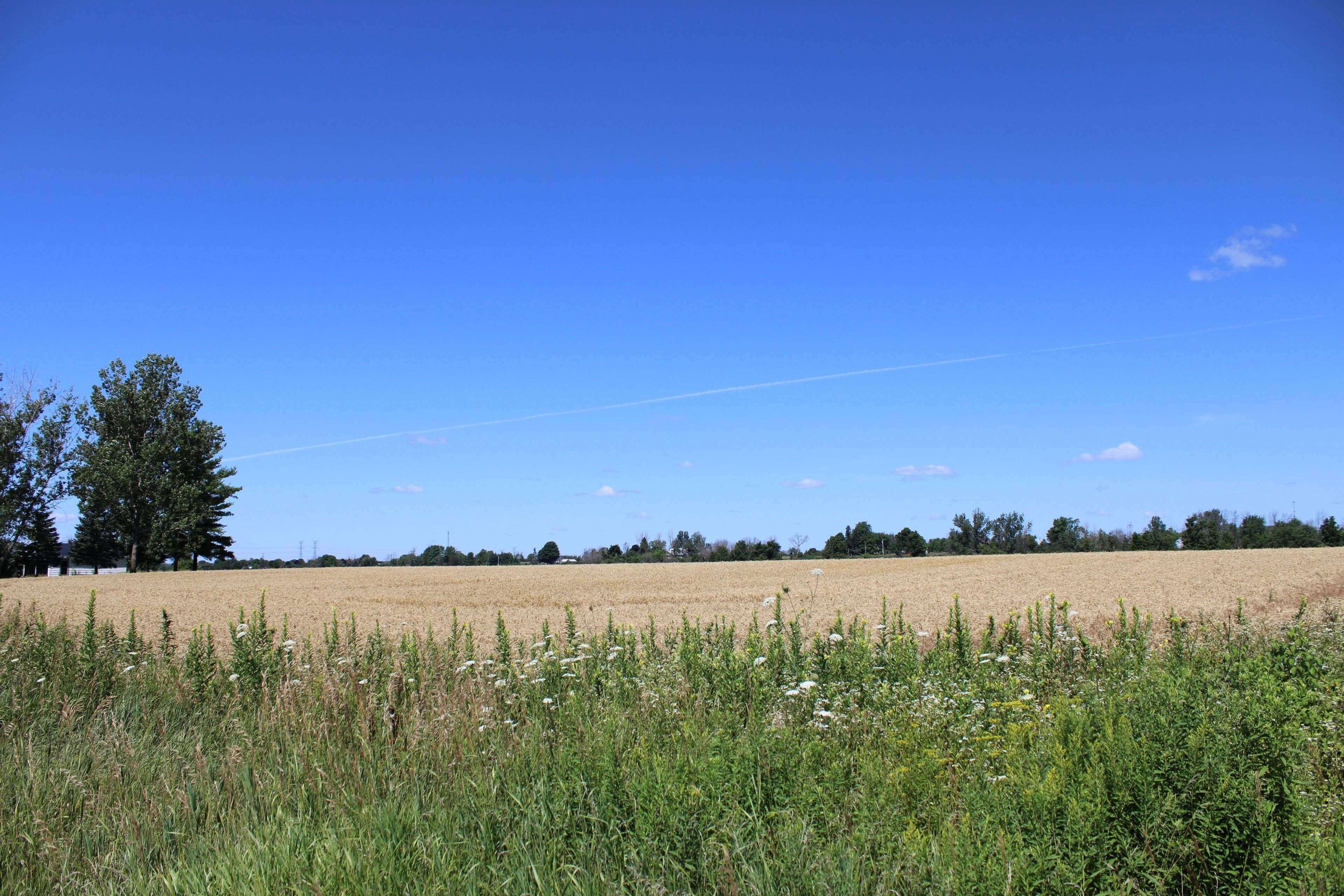 Greater Napanee, ON K7R 3L1,PT LT16 JIM KIMMETT BLVD