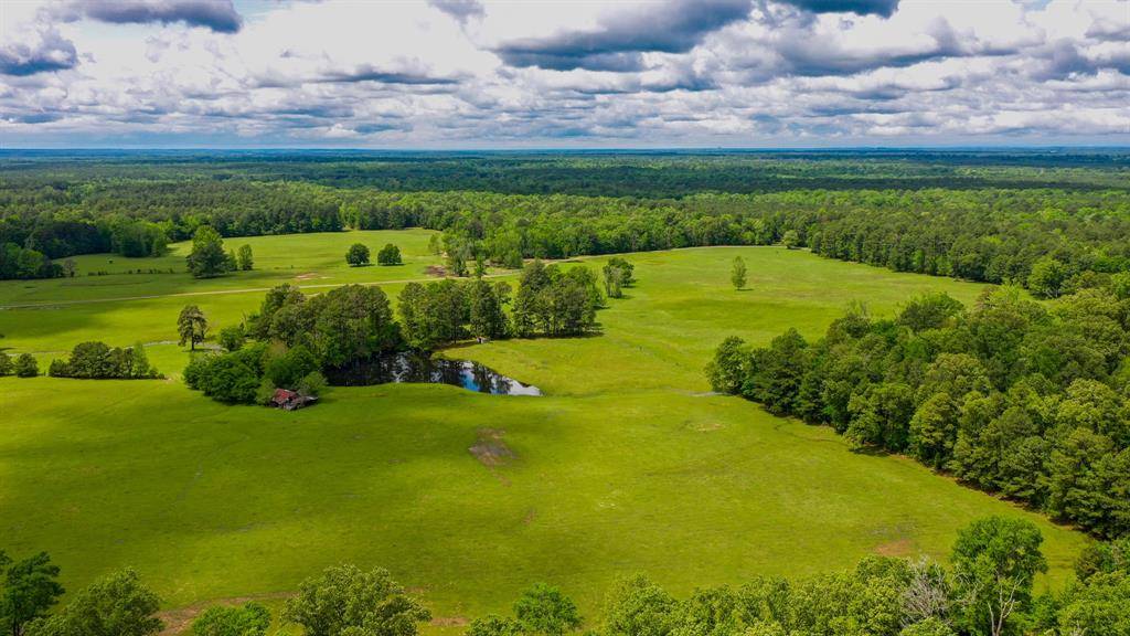 De Berry, TX 75639,000 E FM 1794
