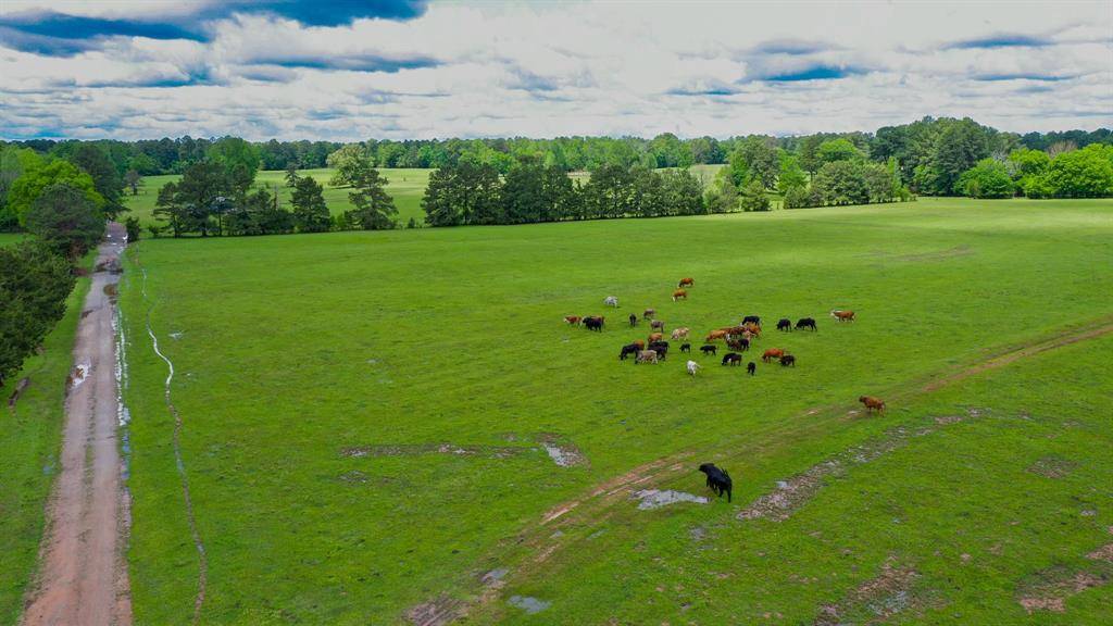 De Berry, TX 75639,000 E FM 1794