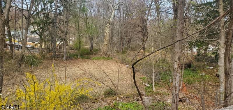 Morris Twp., NJ 07960,189 Sussex Ave