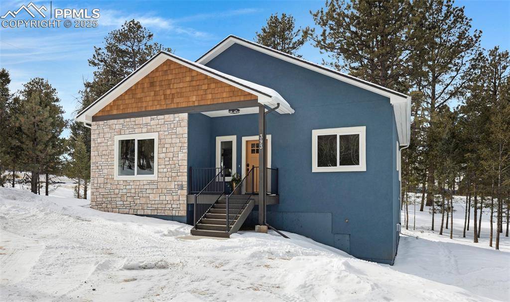 Florissant, CO 80816,393 S Mountain Estates RD